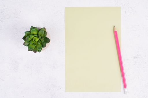 Empty paper with a pen and a cactus textured background, brainstorming for new ideas, writing a message, taking a break, home office desk
