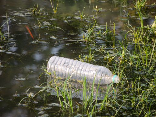 A plastic bottle thrown in the lake, environmental pollution
