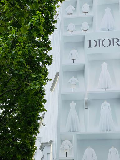 A vertical shot of tree with the sign of Dior shop in Paris on Champs Elysees street, France