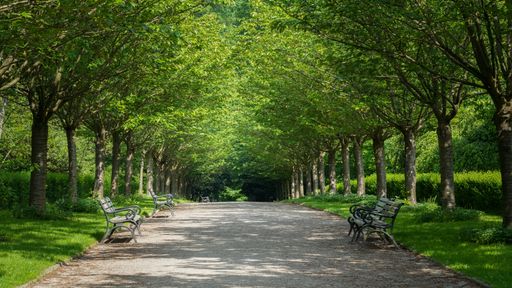 steel benches along the pathway with trees on both sides