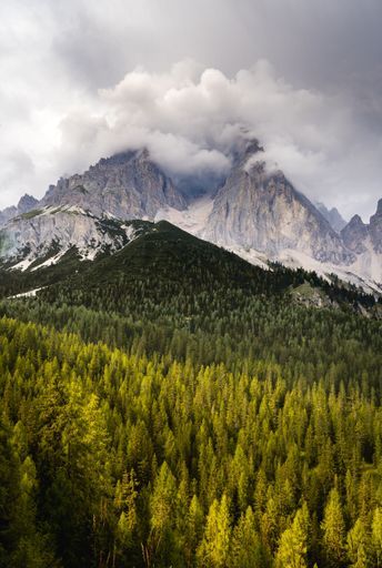 A vertical shot of green pine forests against rocky mountains covered with clouds in Italy