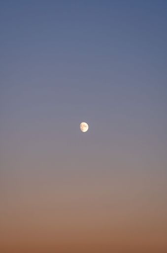 A vertical shot of the bright almost full Moon with blue and orange background of sky
