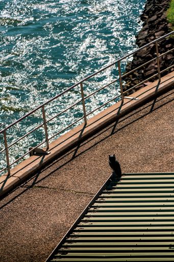 A vertical view of a building overlooking the ocean on a sunny day