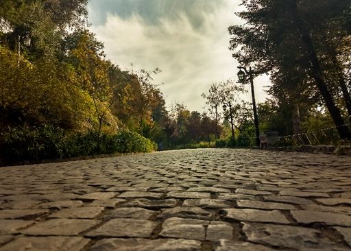 A long brick ground surrounded by trees in a park under the cloudy sky