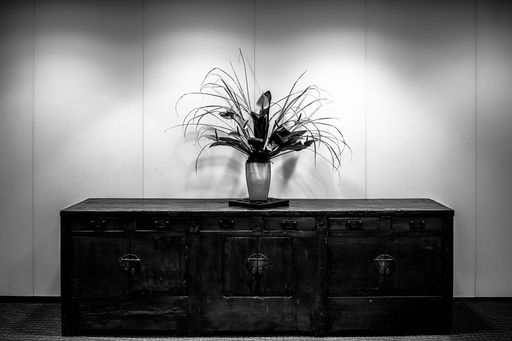 A grayscale of a vase with a plant on a wooden chest