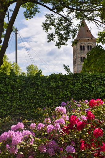 A vertical shot of blooming colorful flowers in background of building