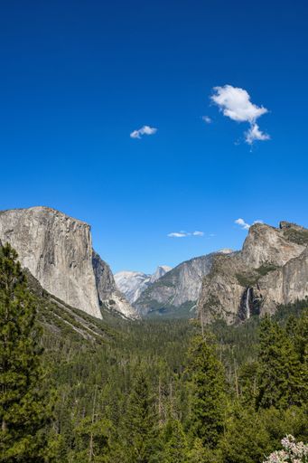 A beautiful view of a valley at the Yosemite National Park in California USA