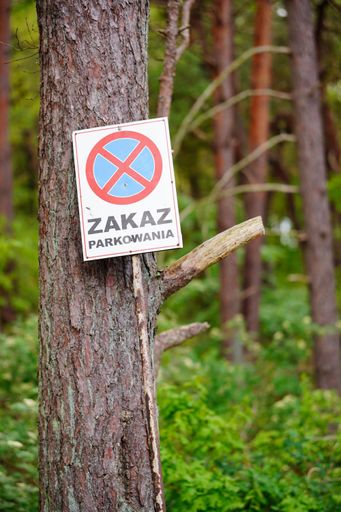 A selective focus shot of a road "Zakaz Parkowania" or no parking sign in the forest
