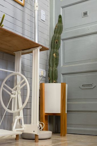 A vertical shot of a cactus plant in a pot in the corner of a room near the table