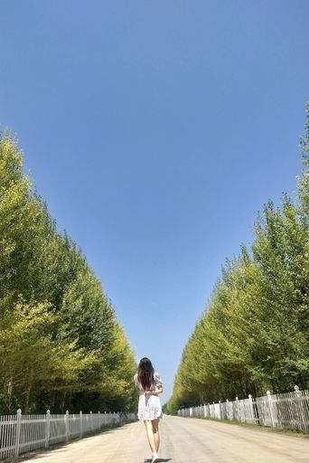 A vertical shot of a girl with white dress walking on a road between trees under blue sky