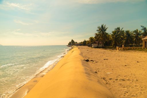 A beautiful shot of green palm trees on the sandy beach near the calm sea during daytime