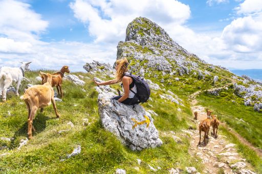 A Caucasian woman sitting on the stone near the goats in the mount of Aitzgorri in Gipuzkoa
