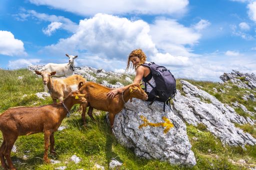 A Caucasian woman sitting on the stone near the goats in the mount of Aitzgorri in Gipuzkoa