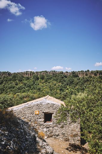 A vertical shot of a rock house surrounded by trees under a blue sky at daytime
