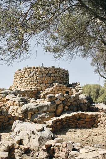 A vertical shot of ruins near trees with a blue sky in the background at daytime