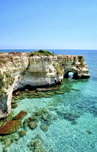 A breathtaking vertical shot of a rocky shore cliff near a beautiful crystal clear body of water. Perfect for a wallpaper or a background.