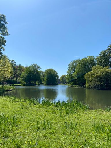 A beautiful shot of a small lake surrounded by trees