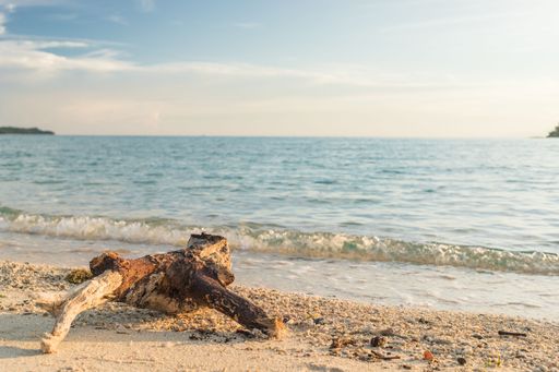 A mesmerizing view of a log on the seashore with golden sunset over the sea