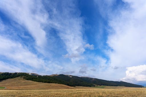 A mesmerizing scene background of brown plains and green forest trees against a blue cloudy sky