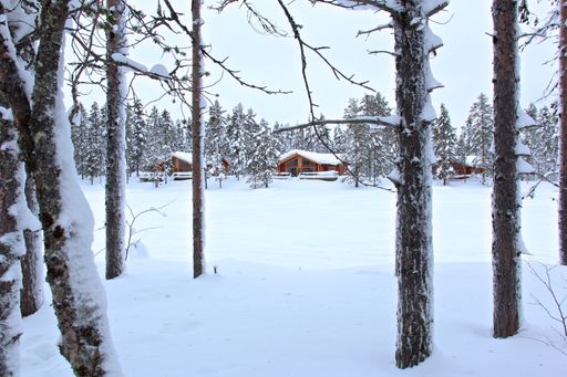 A mesmerizing shot of a forest covered in snow during the day in winter in Lapland