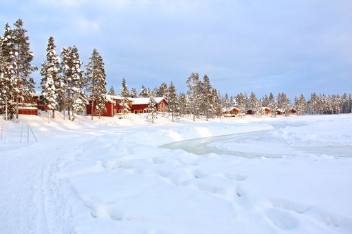 A mesmerizing shot of a forest covered in snow during the day in winter in Lapland