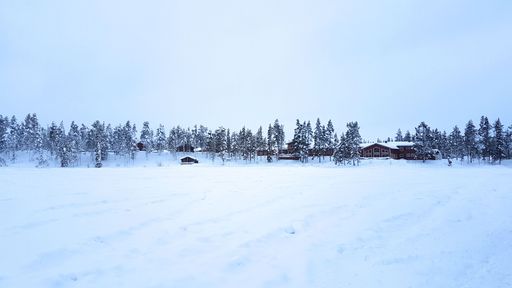 A mesmerizing shot of a forest covered in snow during the day in winter in Lapland