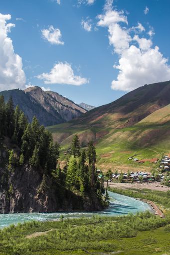 A vertical shot of a river flowing beside a green forest with a small village and mountains in the far