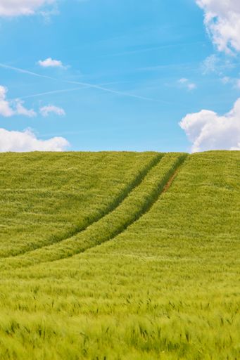 A vertical shot of a countryside field with green pasture and a beautiful cloudscape in the background