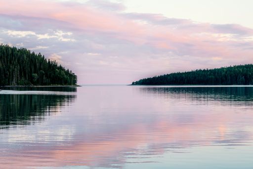 A beautiful view of a reflective lake with a forest during pink sunset