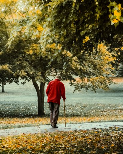 A vertical shot of an old man walking in the park