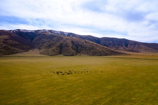 A beautiful view of a field with mountains under the blue cloudy sky in Armenia