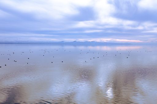 A beautiful view of the Sevan lake with fishing birds under the cloudy sky in Armenia