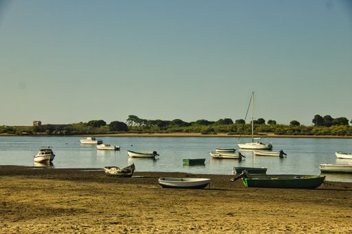 A beautiful view of a sandy shore with boats on a sunny day