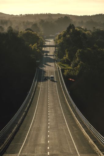 An aerial view of a road in a dense green forest