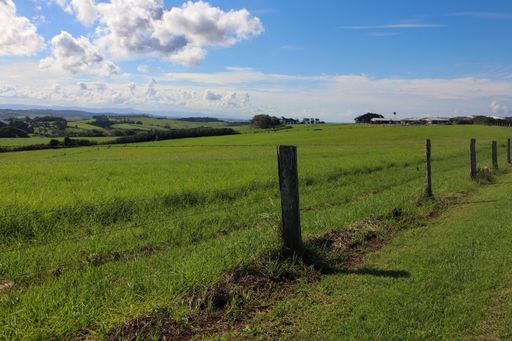 A mesmerizing view of a beautiful green field with trees against a cloudy sky at Kiama South Coast NSW, Australia