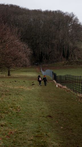 A vertical shot of two females walking to a forest along the fence