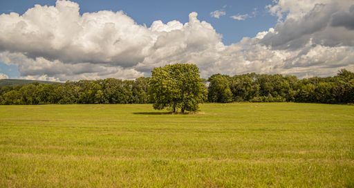A scenic view of a green field with lush trees against a blue cloudy sky