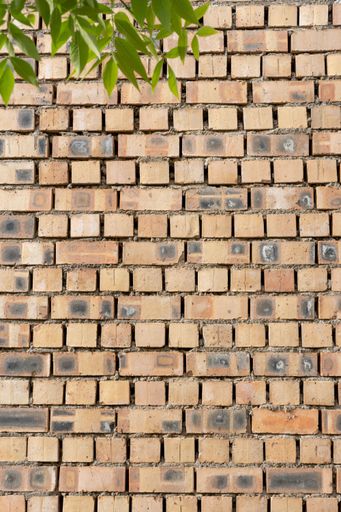 A vertical closeup shot of a old brick wall texture - perfect for background