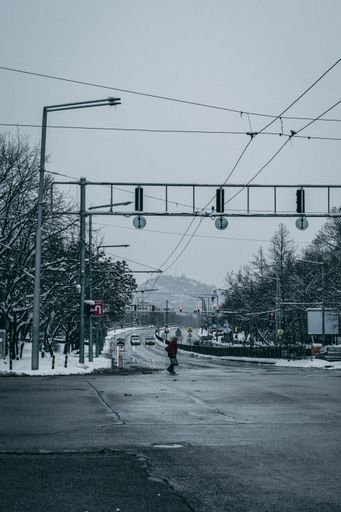 A vertical shot of a person crossing a wet street with snowy trees under traffic lights and a gray sky