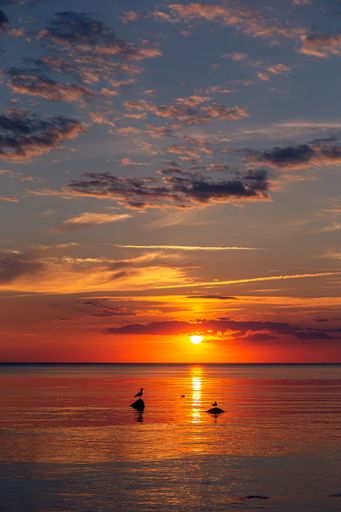 A vertical shot of a scenic landscape of the coast of Baltic Sea at sunset in Lithuania