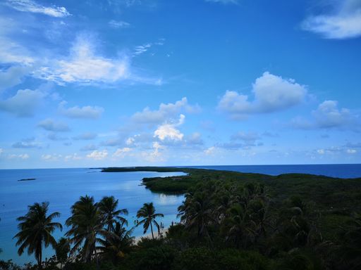 An aerial shot of a forested seashore with the blue sea on the background