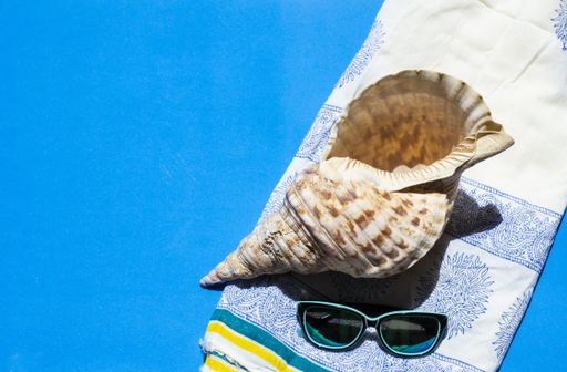 A seashell and sunglasses on blue background - summer concept