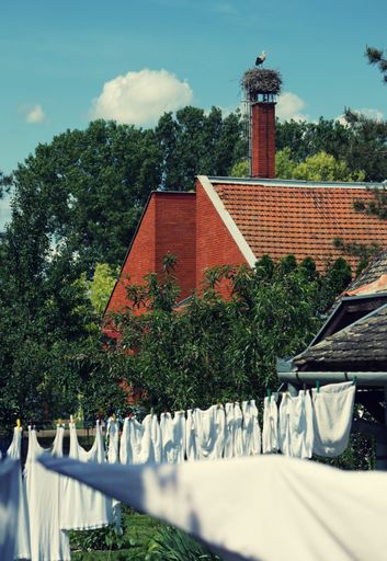 A vertical shot of white clothes hanging on a wire and a house in the background