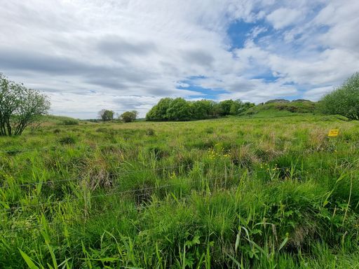 A beautiful shot of a meadow surrounded by wired fences under a cloudy sky