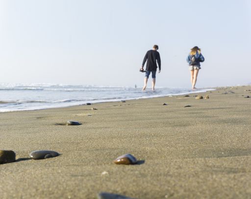 A couple walking on the beach shore with a clear blue sky in the background shot from behind