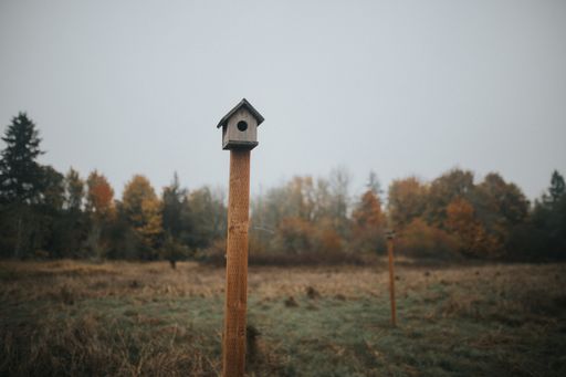 A beautiful picture of a wooden birdhouse against foliage trees in fog in autumn
