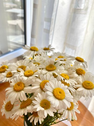 A vertical shot of daisy flowers in the vase on the table