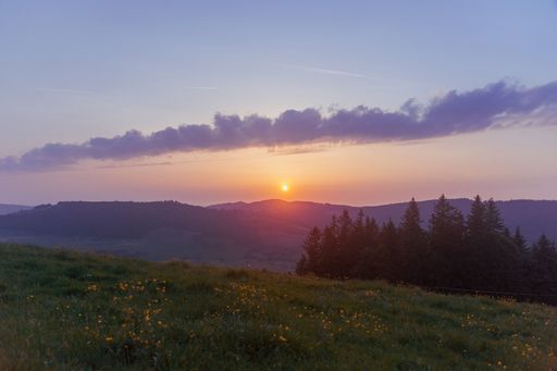 The golden specific sunset view from hill in the field