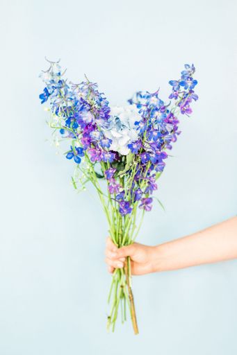 A vertical shot of a bouquet of purple flowers in a woman's hand on a blue background
