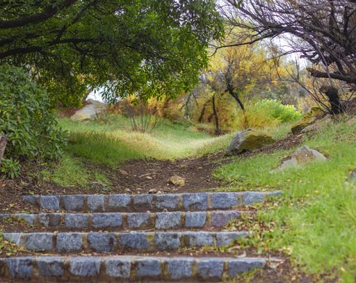 A beautiful shot of an old park pathway surrounded by beautiful nature